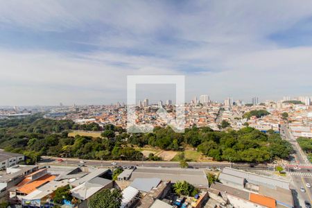 Vista Cozinha e Área de Serviço de apartamento para alugar com 2 quartos, 37m² em Vila Pierina, São Paulo