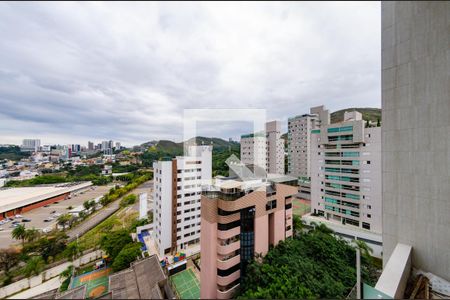 Vista de apartamento à venda com 3 quartos, 98m² em Buritis, Belo Horizonte