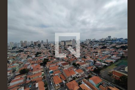 Apartamento à venda com 3 quartos, 113m² em Alto da Mooca, São Paulo