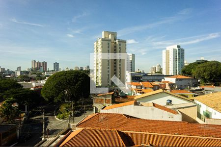 Vista de apartamento para alugar com 1 quarto, 31m² em Vila Mafra, São Paulo