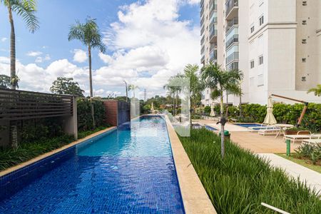 Piscina de apartamento para alugar com 2 quartos, 59m² em Vila Anastácio, São Paulo