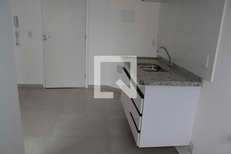 Cozinha de apartamento para alugar com 1 quarto, 30m² em Vila Guilhermina, São Paulo