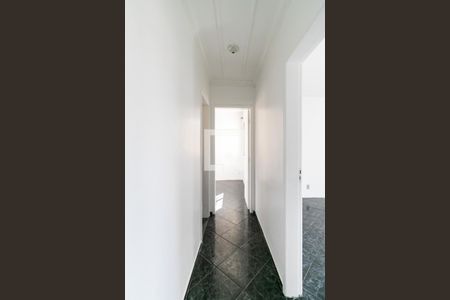 Corredor de apartamento para alugar com 2 quartos, 50m² em Jardim Leblon, Belo Horizonte