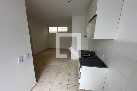Cozinha - Lavanderia de apartamento para alugar com 2 quartos, 43m² em Ipiranga, Ribeirão Preto