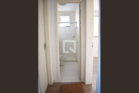 Banheiro Corredor de apartamento para alugar com 2 quartos, 47m² em Campo Grande, Rio de Janeiro