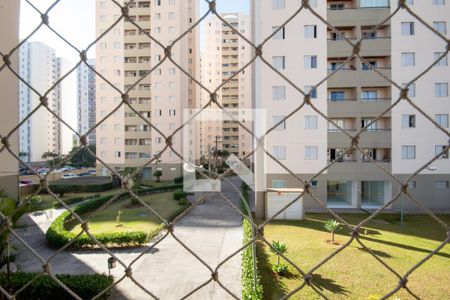 Vista da Sala de apartamento para alugar com 3 quartos, 65m² em Continental, Osasco