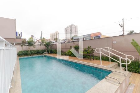 Área comum - Piscina de apartamento à venda com 2 quartos, 56m² em Jardim Nossa Senhora Auxiliadora, Campinas