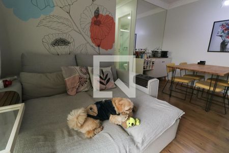 Sala de apartamento para alugar com 2 quartos, 65m² em Jardim das Vertentes, São Paulo