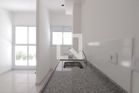 Cozinha de apartamento para alugar com 1 quarto, 30m² em Vila Guilhermina, São Paulo