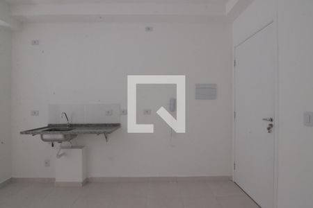 Cozinha de apartamento para alugar com 1 quarto, 30m² em Vila Guilhermina, São Paulo