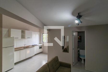 Sala de kitnet/studio para alugar com 1 quarto, 34m² em Jardim Santa Barbara, Guarulhos