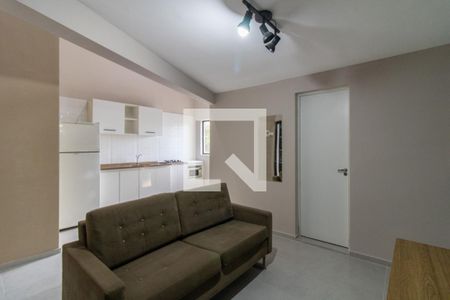 Sala de kitnet/studio para alugar com 1 quarto, 34m² em Jardim Santa Barbara, Guarulhos