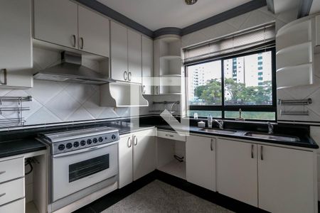 Cozinha de apartamento à venda com 4 quartos, 272m² em Sagrada Família, Belo Horizonte