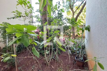 Vista da Sala de apartamento para alugar com 2 quartos, 60m² em Jardim Miranda, Campinas