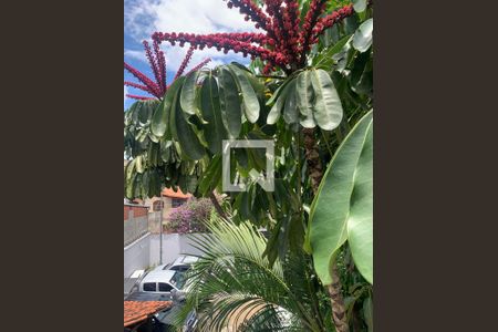 Casa para alugar com 3 quartos, 226m² em Planalto, Belo Horizonte