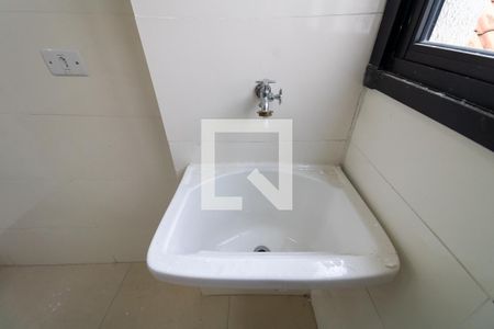 Lavanderia de apartamento para alugar com 2 quartos, 50m² em Chácara Mafalda, São Paulo