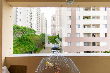 Varanda da Sala de apartamento à venda com 3 quartos, 64m² em Vila Divina Pastora, São Paulo