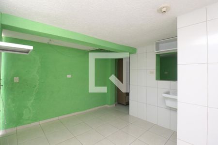 Kitnet de casa para alugar com 1 quarto, 30m² em Tucuruvi, São Paulo