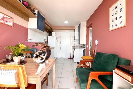 Sala  de apartamento para alugar com 2 quartos, 43m² em Bom Retiro, São Paulo