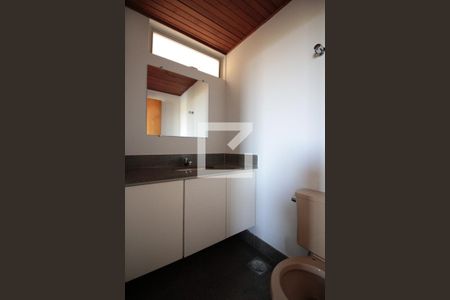 Lavabo da Sala de apartamento à venda com 5 quartos, 240m² em Santa Amelia, Belo Horizonte