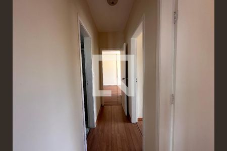 Corredor de apartamento para alugar com 3 quartos, 78m² em Santo Antônio, Belo Horizonte