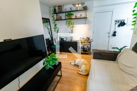 Sala de apartamento para alugar com 2 quartos, 62m² em Vila Andrade, São Paulo