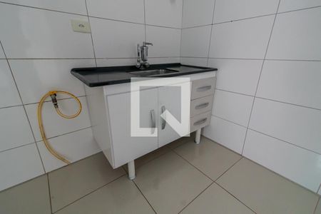 Cozinha - Pia de apartamento para alugar com 2 quartos, 48m² em Vila Guiomar, Santo André