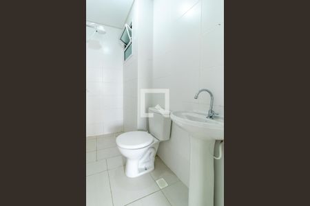 Banheiro Social de apartamento para alugar com 2 quartos, 50m² em Cidade Jardim, São José dos Pinhais