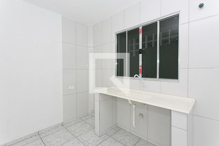 Cozinha de apartamento para alugar com 1 quarto, 48m² em Cidade Líder, São Paulo