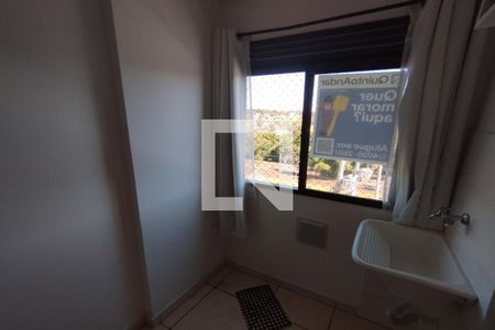 Cozinha - Lavanderia de apartamento para alugar com 2 quartos, 43m² em Jardim Santa Cecilia - Bonfim Paulista, Ribeirão Preto