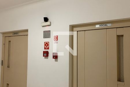 Área Comum - Elevador  de apartamento para alugar com 3 quartos, 85m² em Nova Mirim, Praia Grande