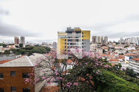 Vista de apartamento para alugar com 1 quarto, 29m² em Jardim São Paulo, São Paulo