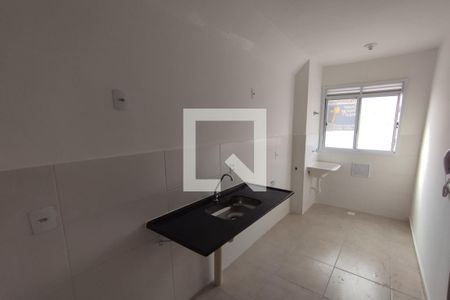 Cozinha de apartamento para alugar com 2 quartos, 45m² em Parque Ribeirao Preto, Ribeirão Preto