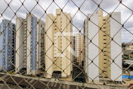 Vista do Quarto 1 de apartamento para alugar com 2 quartos, 52m² em Planalto, São Bernardo do Campo