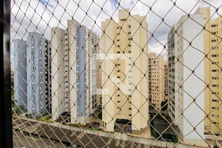 VIsta de apartamento para alugar com 2 quartos, 52m² em Planalto, São Bernardo do Campo