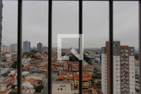 Vista Suíte de apartamento para alugar com 2 quartos, 70m² em Vila Santana, São Paulo