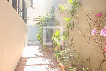 Casa à venda com 200m², 3 quartos e sem vaga Casa à venda com 200m², 3 quartos e sem vagaQuintal