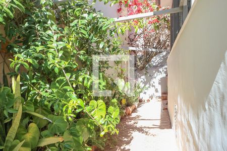 Casa à venda com 200m², 3 quartos e sem vaga Casa à venda com 200m², 3 quartos e sem vagaQuintal