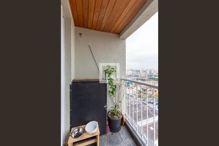 Varanda da Sala de apartamento para alugar com 3 quartos, 64m² em Parque Bandeirante, Santo André