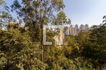 Vista da Varanda de apartamento para alugar com 2 quartos, 85m² em Paraíso do Morumbi, São Paulo