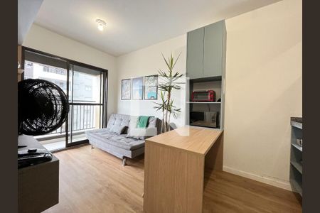 Sala de apartamento para alugar com 1 quarto, 29m² em Vila Santa Catarina, São Paulo