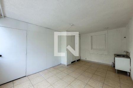 Sala/Cozinha de kitnet/studio para alugar com 1 quarto, 19m² em Cambuci, São Paulo