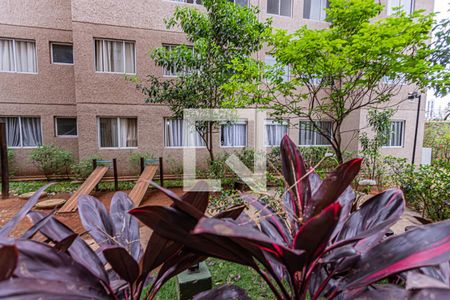 Vista Sala de apartamento para alugar com 2 quartos, 43m² em Jardim das Graças, São Paulo