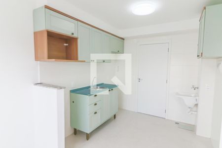 Cozinha e Lavanderia de apartamento para alugar com 2 quartos, 38m² em Jardim Celeste, São Paulo