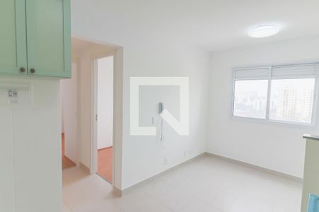 Cozinha e Lavanderia de apartamento para alugar com 2 quartos, 38m² em Jardim Celeste, São Paulo