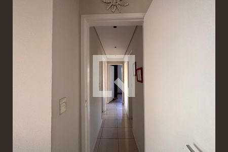 Corredor de apartamento para alugar com 3 quartos, 80m² em Sagrada Família, Belo Horizonte