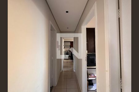 Corredor de apartamento para alugar com 3 quartos, 80m² em Sagrada Família, Belo Horizonte