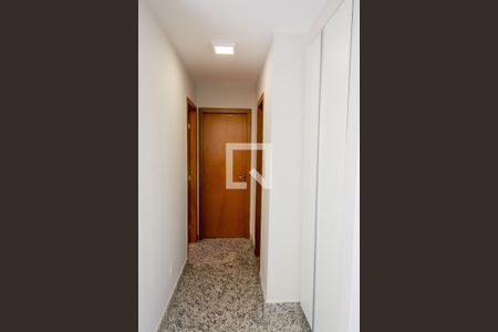 Corredor de apartamento para alugar com 2 quartos, 58m² em Savassi, Belo Horizonte