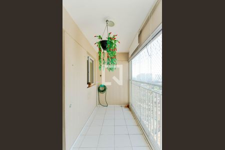 Varanda da Sala de apartamento para alugar com 3 quartos, 78m² em Jardim Rosa de Franca, Guarulhos