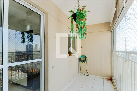 Varanda da Sala de apartamento para alugar com 3 quartos, 78m² em Jardim Rosa de Franca, Guarulhos